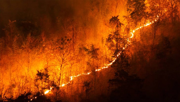 Над 90% от пожарите сред природата се предизвикват от човешка дейност