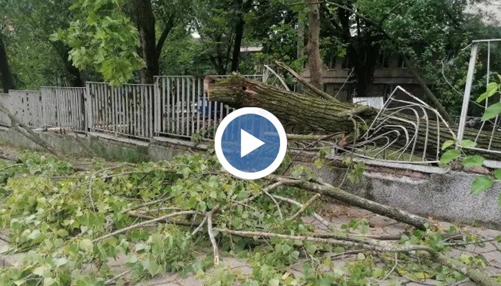 В Разградско дъжд и градушка нанесоха сериозни щети на в село Дянково
