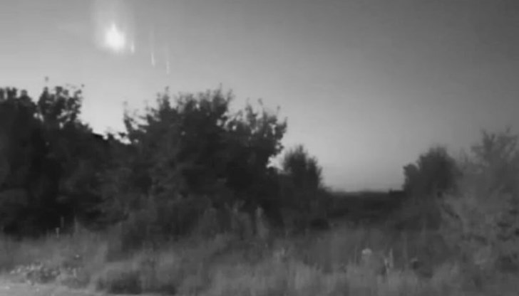 Големината му е около размера на зарче за игра на табла