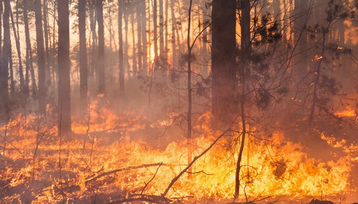 Очакваните високи температури са предпоставка за възникване на пожари