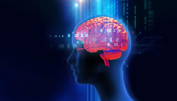 Технологията може да позволи на машинния интелект да „учи през целия си живот“ като клетките на човешкия мозък