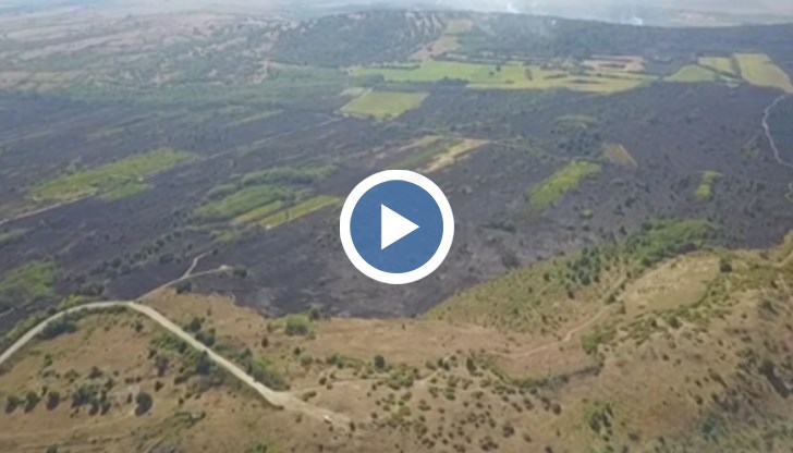 Няма опасност от разпространение на огъня