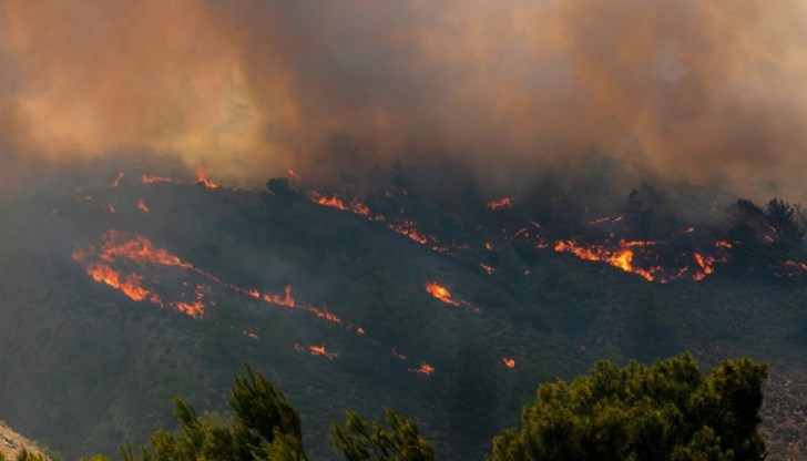 Огънят не е случаен, огънят е палеж, твърди Никола Нанев Огънят не е случаен, огънят е палеж, твърди Никола Нанев