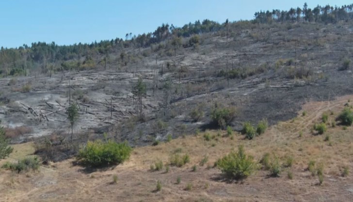 От огъня са засегнати три селскостопански постройки, унищожени са 400 декара храсти и борова гора и един човек е пострадал