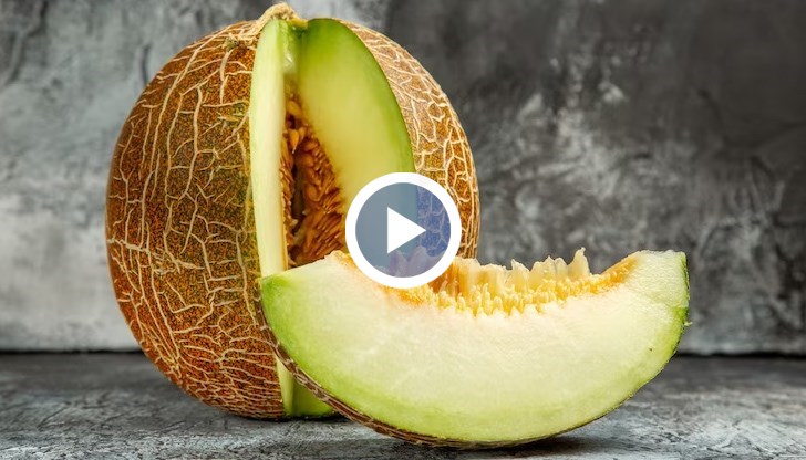 Започна празника на плода край морето