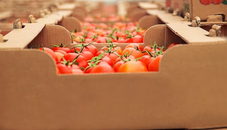 Увеличението на квотата е било договорено в телефонен разговор между Ердоган и Путин Увеличението на квотата е било договорено в телефонен разговор между Ердоган и Путин