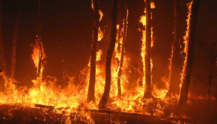 Близо 20 хиляди души бяха евакуирани от остров Корфу Близо 20 хиляди души бяха евакуирани от остров Корфу