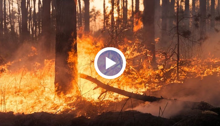 150 пожарникари се опитват да потушат пламъците