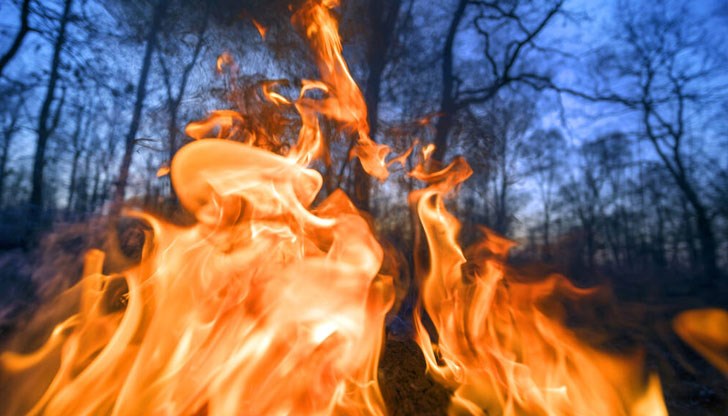 Огънят обхваща гористи местности