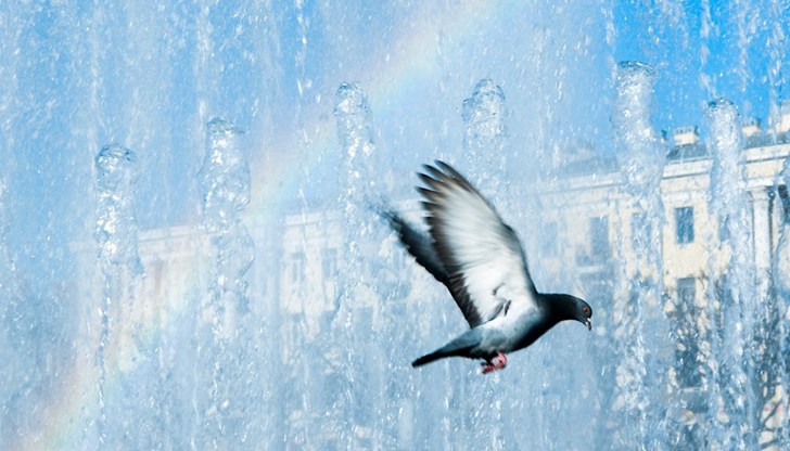 До 37 градуса в понеделник