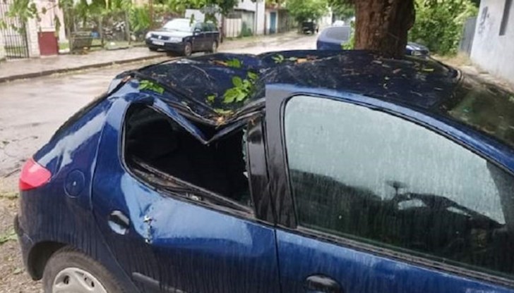 Част от дърво е паднало върху паркиран лек автомобил​