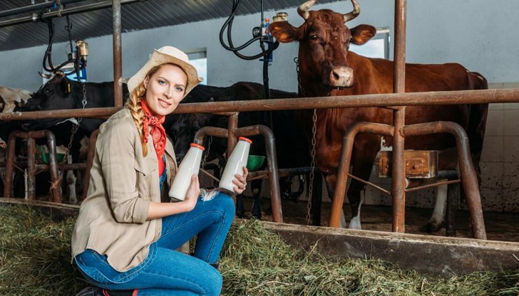 Това установи проучване Това установи проучване