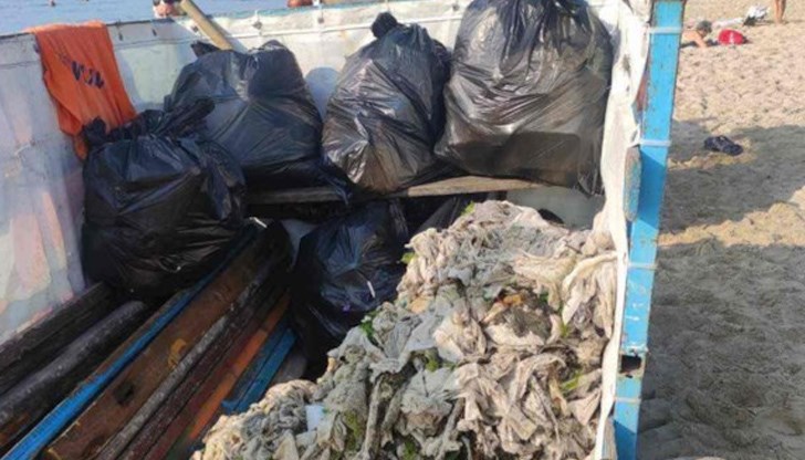 Тонове използвани мокри кърпички е изхвърлило морето на Южния плаж във Варна, между пързалка "Ролбата" и Вълнолома