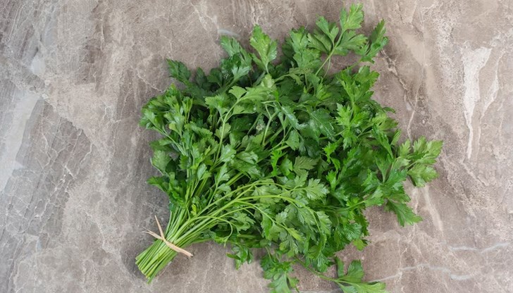 Магданозът има мощен диуретичен ефект