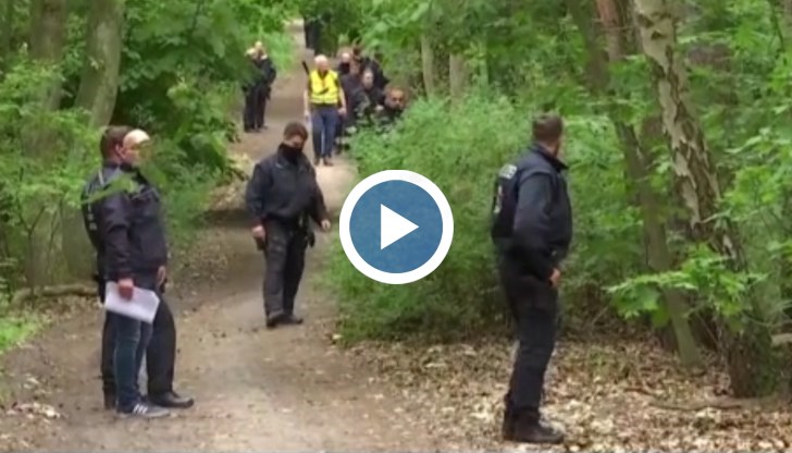 Лабораторни проби на биологичен материал сочат, че няма месояден хищник