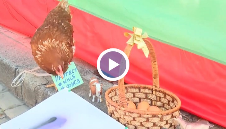 АПИ, тол управлението и пожарната ще настояват за по-високи заплати