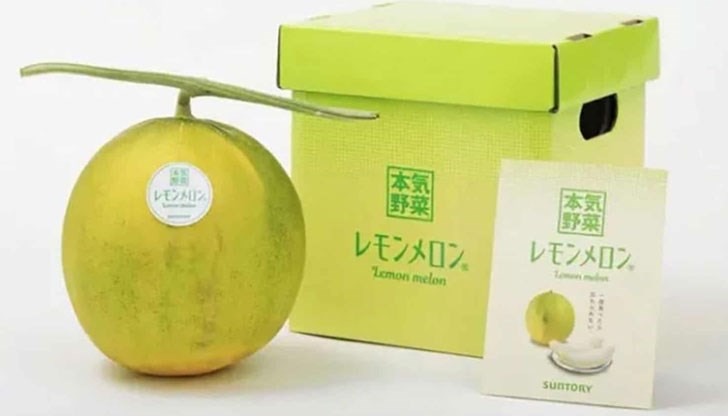 Кръстоската между пъпеш и лимон създава уникален вкус на "дълбока сладост" с кисел привкус Кръстоската между пъпеш и лимон създава уникален вкус на "дълбока сладост" с кисел привкус