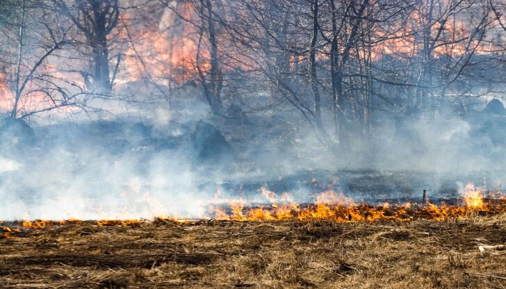20 пожарникари се борят с огнената стихия