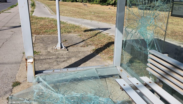 Как успяхме да отгледаме такива гневни, невъзпитани, егоистични наследници?