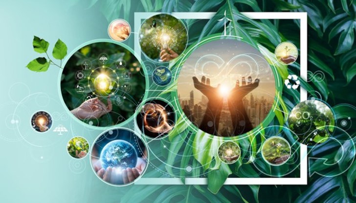 Какво е кръгова и какво линейна икономика?