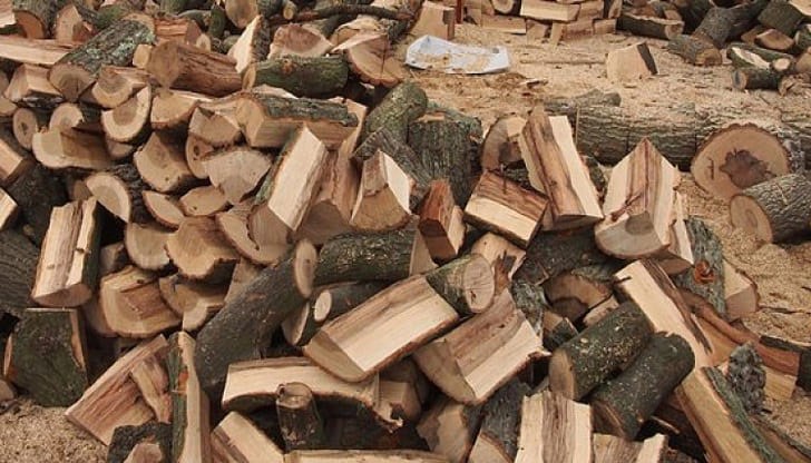 Облекчават процедурата за закупуване на дървесина за лична употреба
