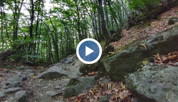 Инцидентът е станал в Родопите