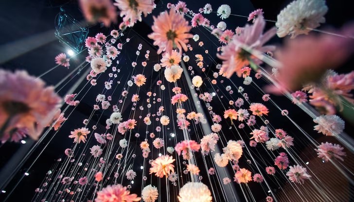 Честит празник на всички именици! Честит празник на всички именици!