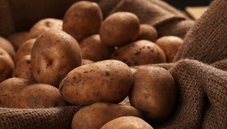 Производителите се надяват на поне 0,80 лв. за килограм картофи на едро