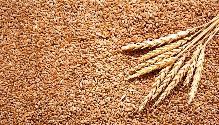 Излишъкът от украинско зърно създава напрежение на вътрешните пазари в няколко държави от ЕС