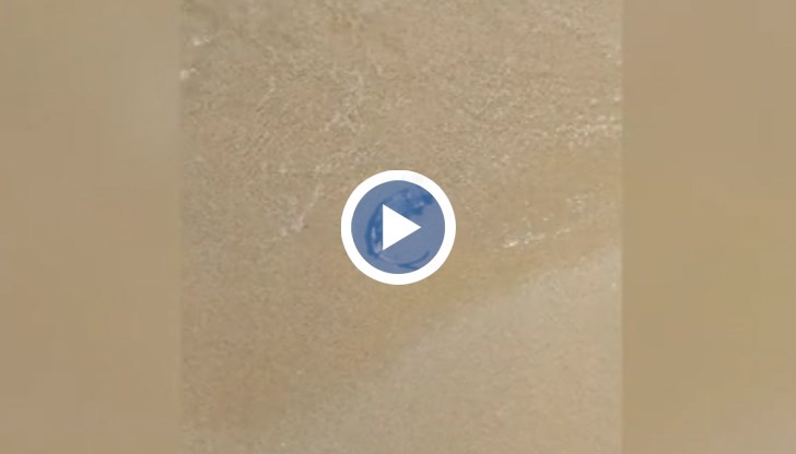 Кърпички и миши трупове осейват централния план в морската столица