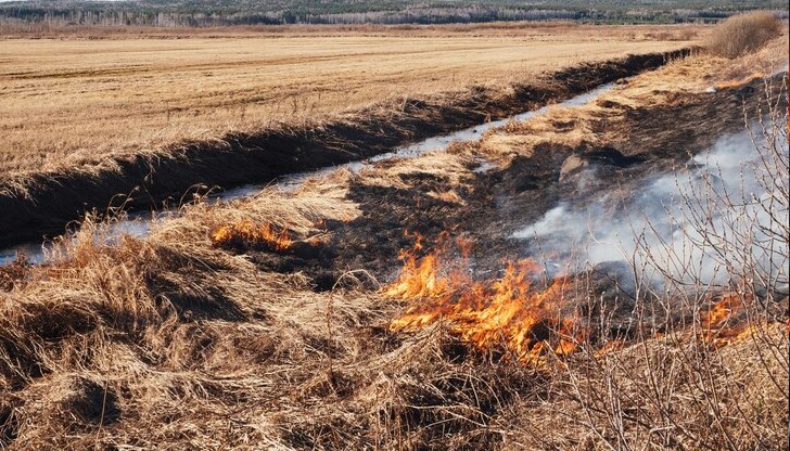 Горяха треви и във вилната зона "9-ти километър" край Русе Горяха треви и във вилната зона "9-ти километър" край Русе