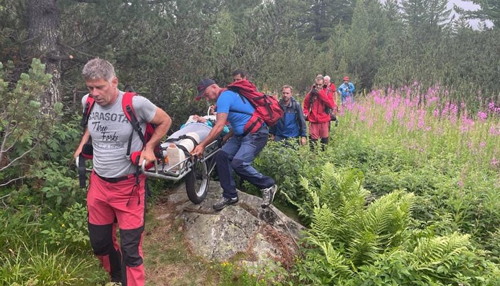 Планински спасители провеждат трудна акция по транспортирането ѝ