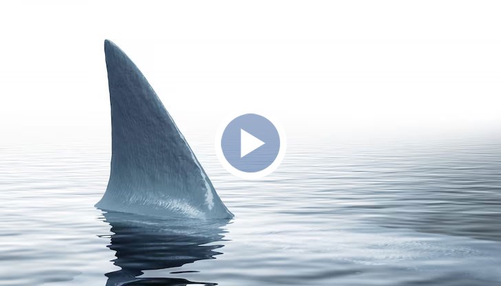 Къпещите се във водата побегнаха към сушата