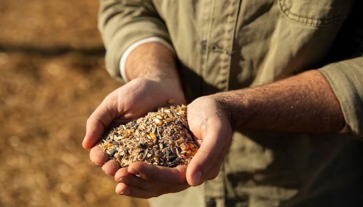 Рисковете от провал на реколтата в няколко световни стопанства са били подценени, смята Кай Корнхубер