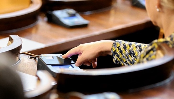 С промените в Наказателния кодекс стават по-тежки присъдите и за насилие над животни С промените в Наказателния кодекс стават по-тежки присъдите и за насилие над животни