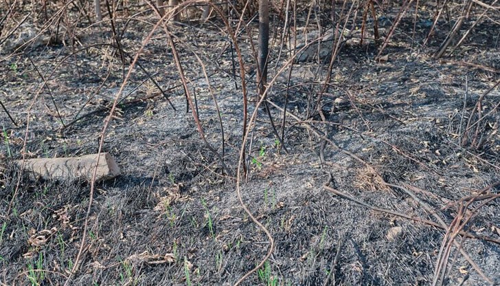 164 хектара са застроени площи, къщи, предприятия и ферми 164 хектара са застроени площи, къщи, предприятия и ферми