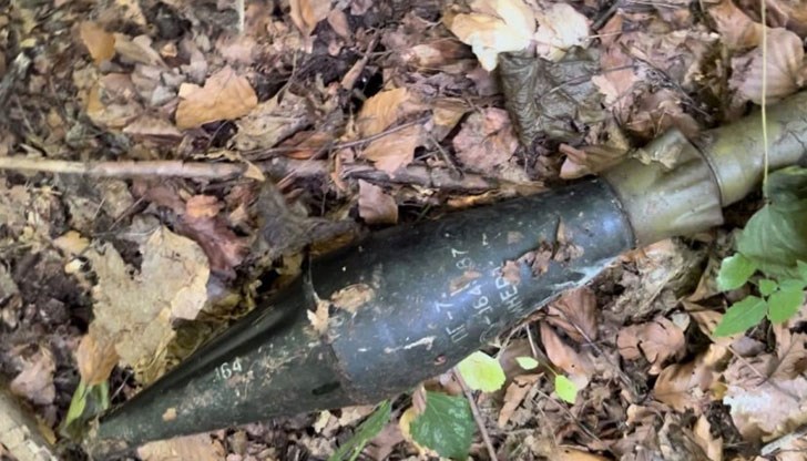 Оръжието е захвърлено в района на Бонсови поляни
