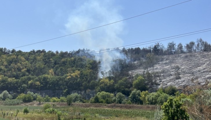 Пожарът е в района на унищожената борова гора