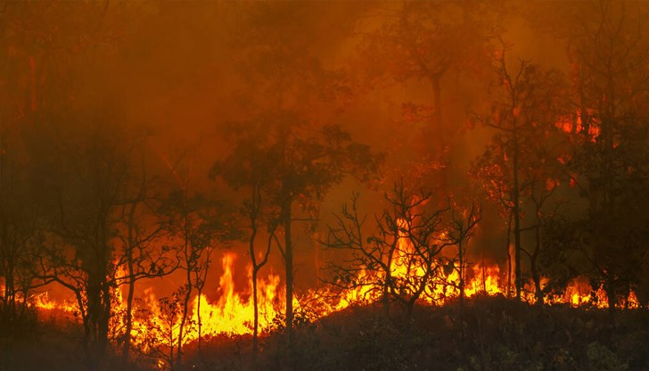 Седми ден горски пожар бушува на гръцкия остров