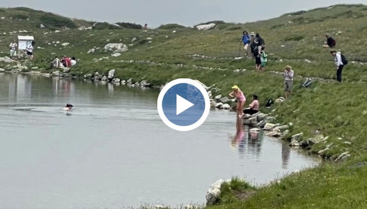 Нарушителката е заснета от туристи