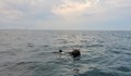 Морска мина се взриви край черноморски курорт в Румъния