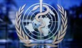 СЗО: Има опасност от масово разпространение на холера