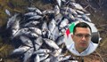 Кметът на Девин: 100% рибата в градската част на реката беше измряла