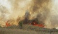 Полицията в Бургас е на крак заради пожарите