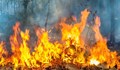 Голям пожар бушува в Сакар планина