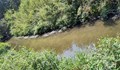 Три институции обследваха река Бели Лом край Разград