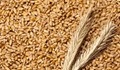 САЩ работят по алтернативни маршрути за износ на украинско зърно