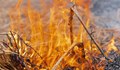 Горящи треви и храсти вдигнаха на крак пожарната в Русенско