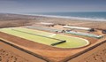 Отглеждането на водорасли в Сахара може да реши климатичната криза