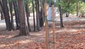 Канят русенци на акция по поливане на дървета в Парка на възрожденците